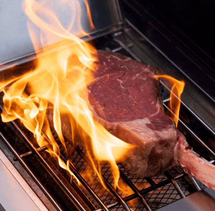 Smart Stainless Steel Gas Grill with Clearview® Window & 5-Burner System